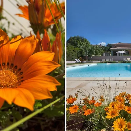 Romana Avec Piscine Et Jacuzzi Апарт-отель Проприано