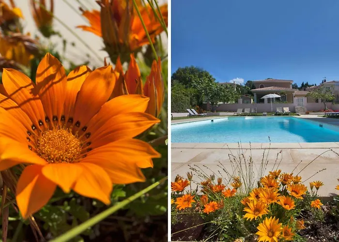 Romana Avec Piscine Et Jacuzzi Aparthotel Propriano (Corsica)